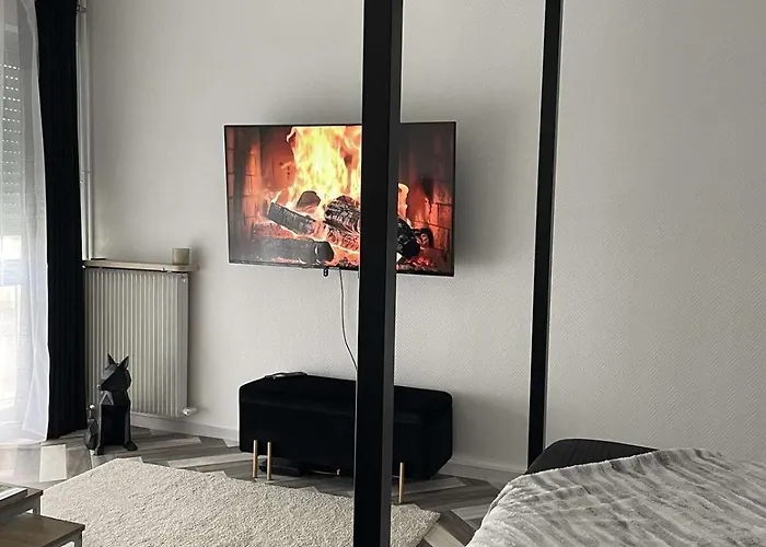 La Feline - Vu Exceptionnelle !